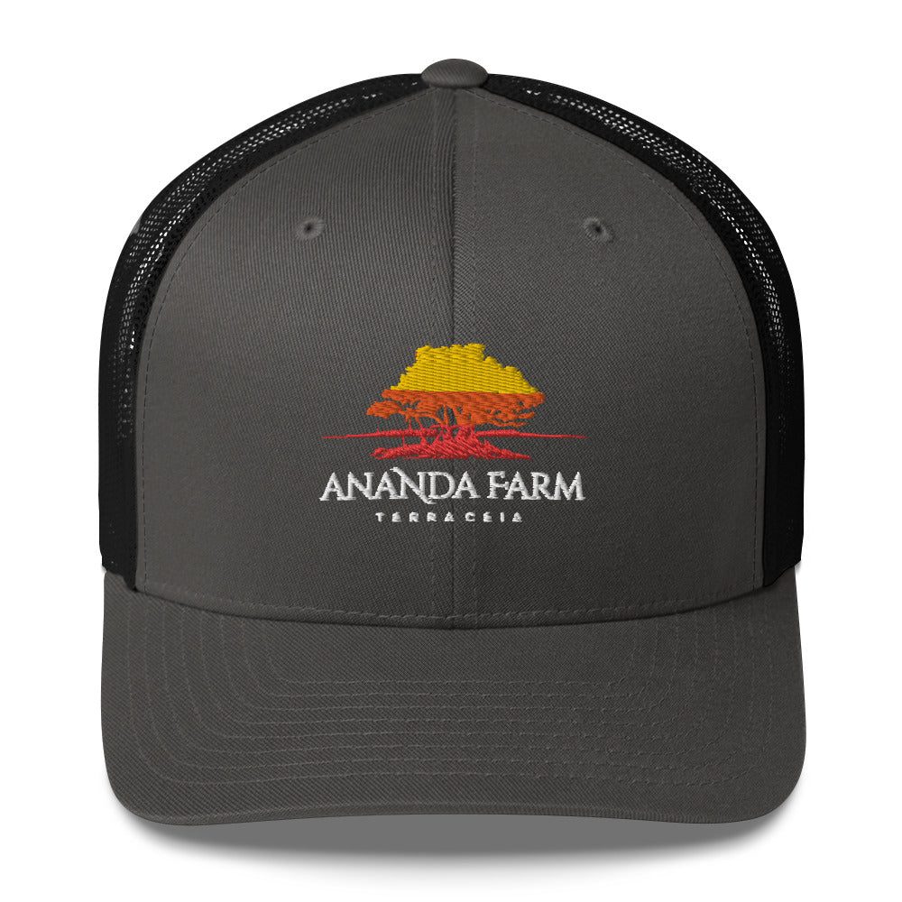 Ananda Multi Color Logo Hat (13 Colors)