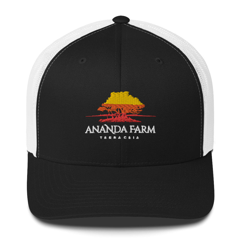 Ananda Multi Color Logo Hat (13 Colors)