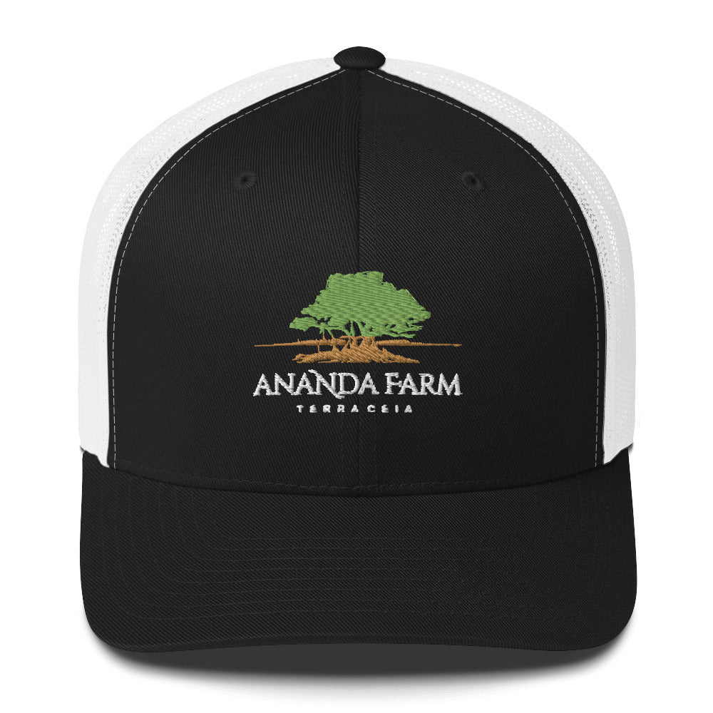 Ananda Green Logo Hat (13 Colors)