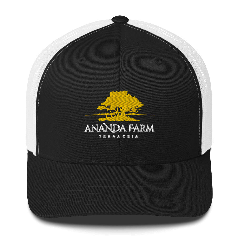 Ananda Yellow Logo Hat (13 Colors)