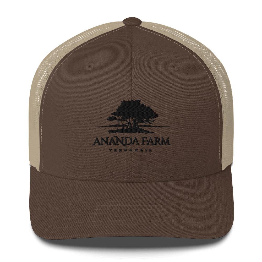 Ananda Black Logo Hat (9 Colors)