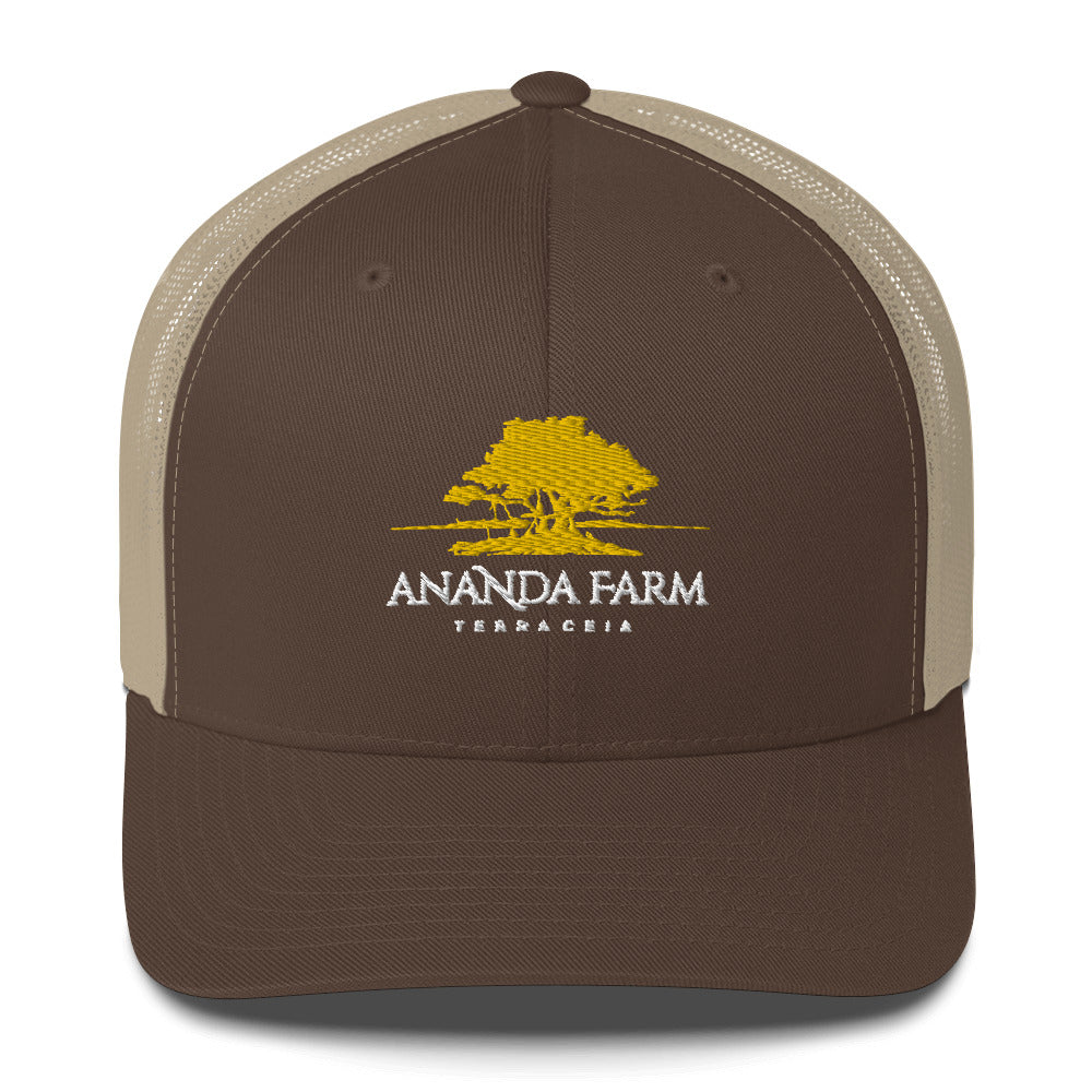 Ananda Yellow Logo Hat (13 Colors)