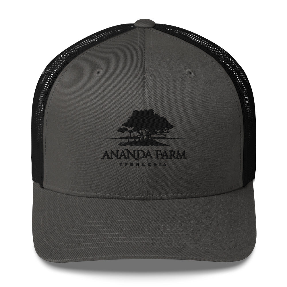 Ananda Black Logo Hat (9 Colors)