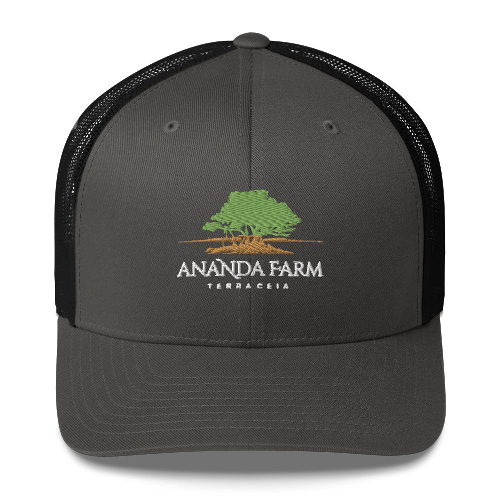 Ananda Green Logo Hat (13 Colors)