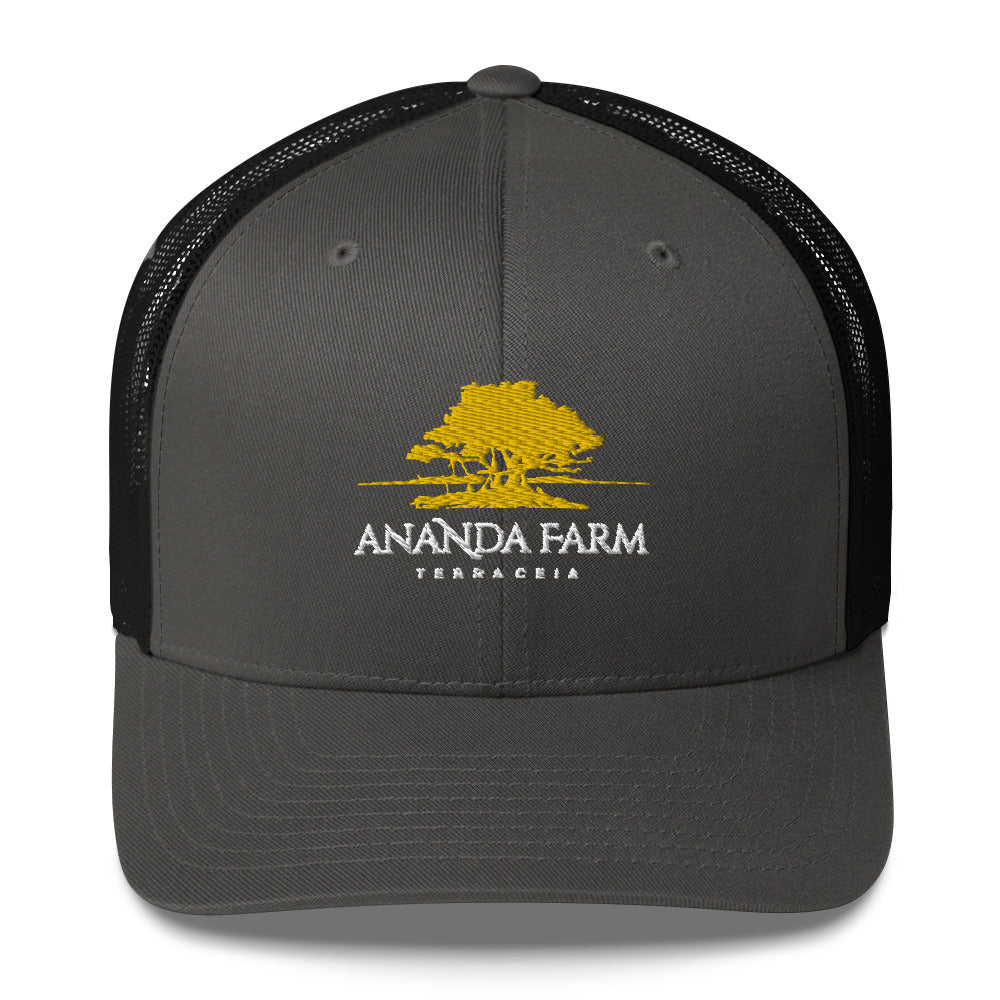 Ananda Yellow Logo Hat (13 Colors)