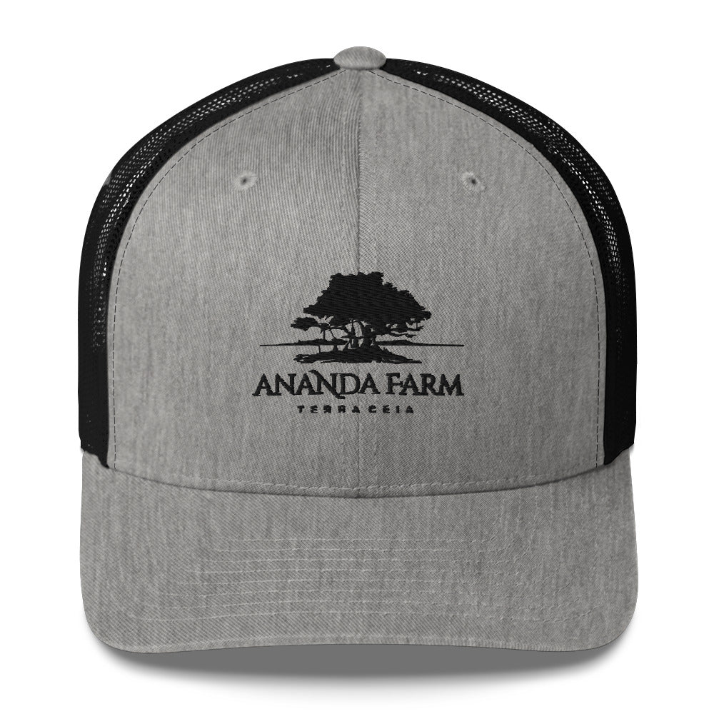 Ananda Black Logo Hat (9 Colors)