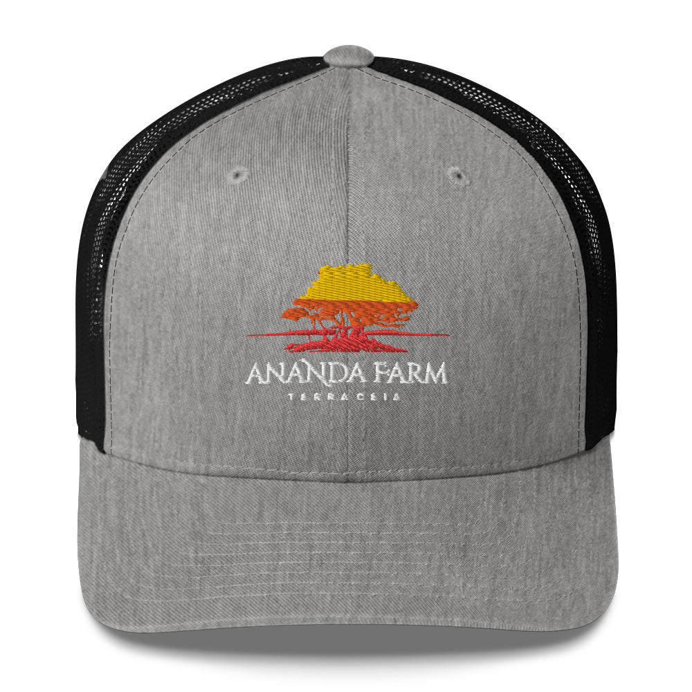 Ananda Multi Color Logo Hat (13 Colors)