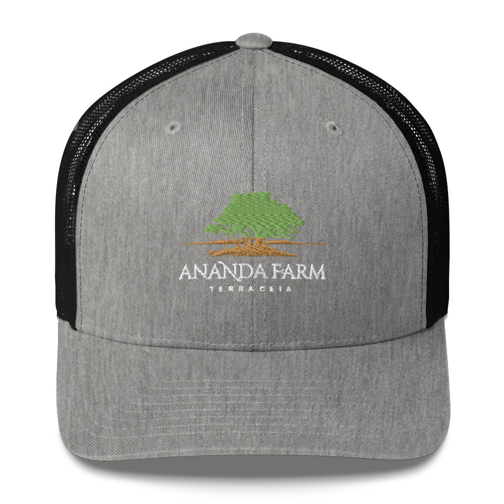 Ananda Green Logo Hat (13 Colors)