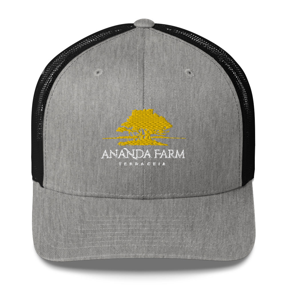 Ananda Yellow Logo Hat (13 Colors)