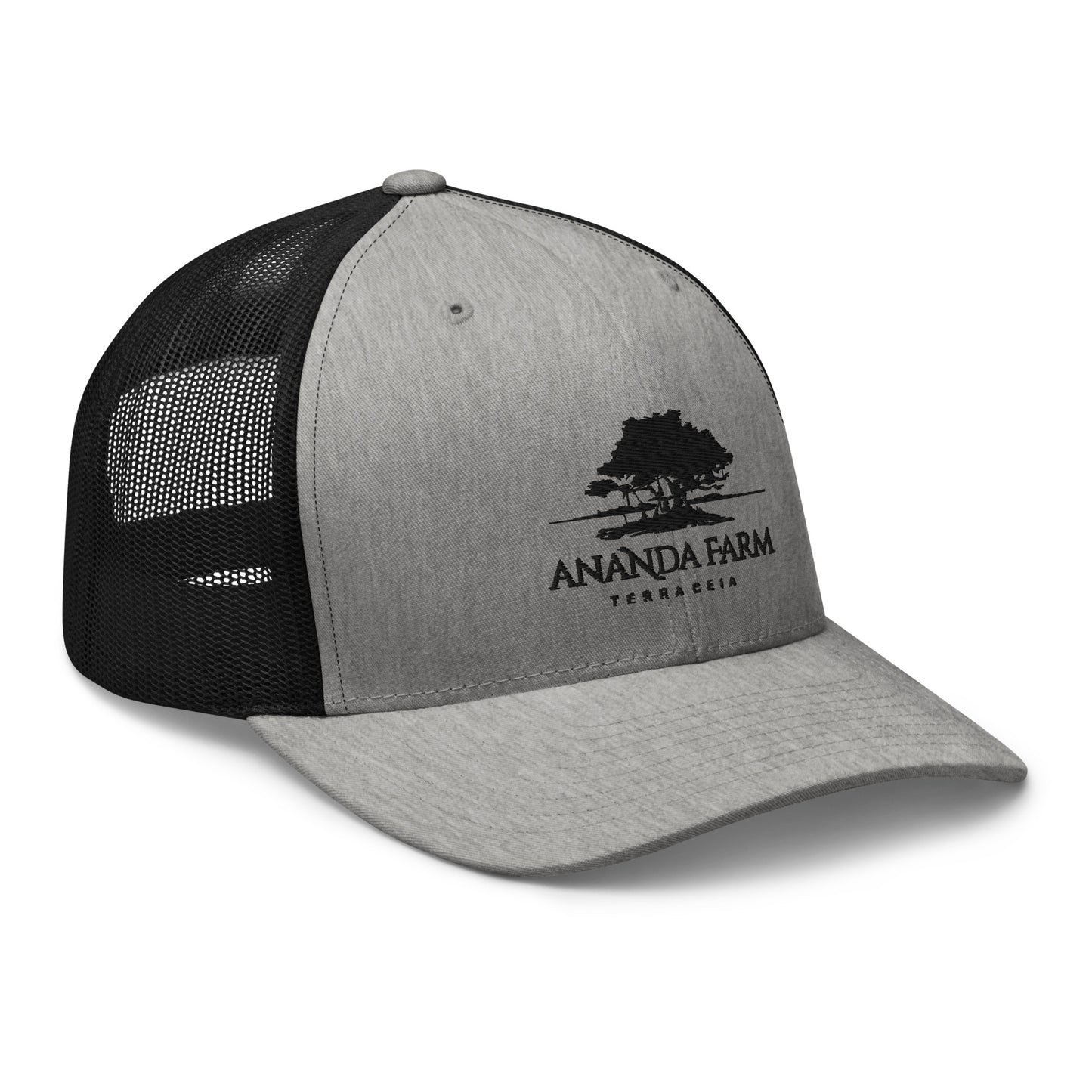 Ananda Black Logo Hat (9 Colors)