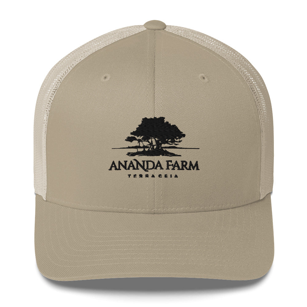 Ananda Black Logo Hat (9 Colors)