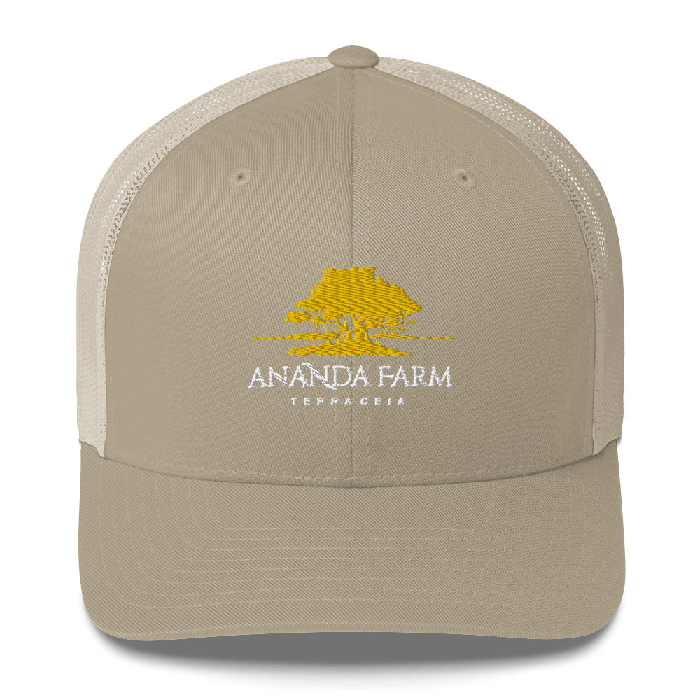 Ananda Yellow Logo Hat (13 Colors)