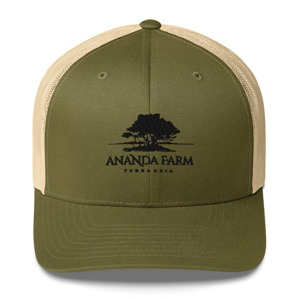 Ananda Black Logo Hat (9 Colors)