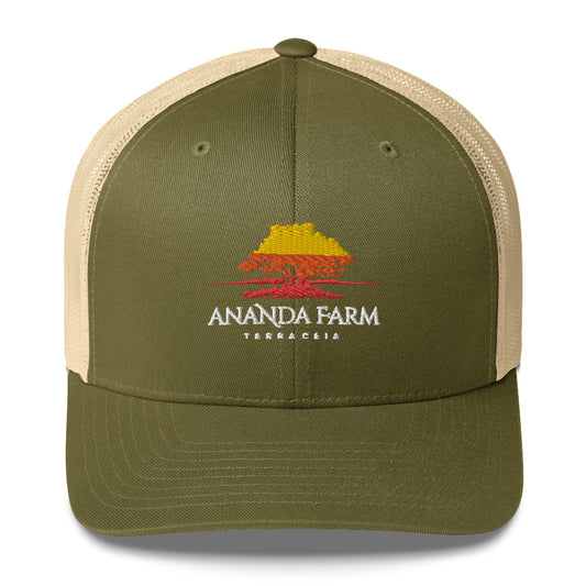 Ananda Multi Color Logo Hat (13 Colors)