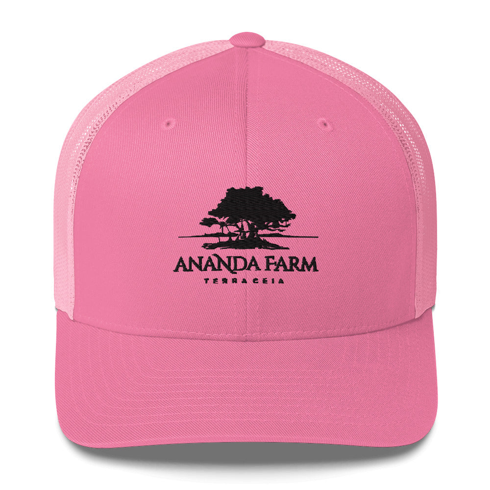 Ananda Black Logo Hat (9 Colors)