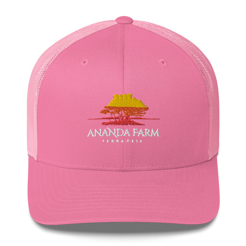 Ananda Multi Color Logo Hat (13 Colors)