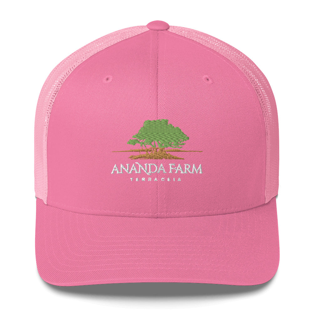 Ananda Green Logo Hat (13 Colors)