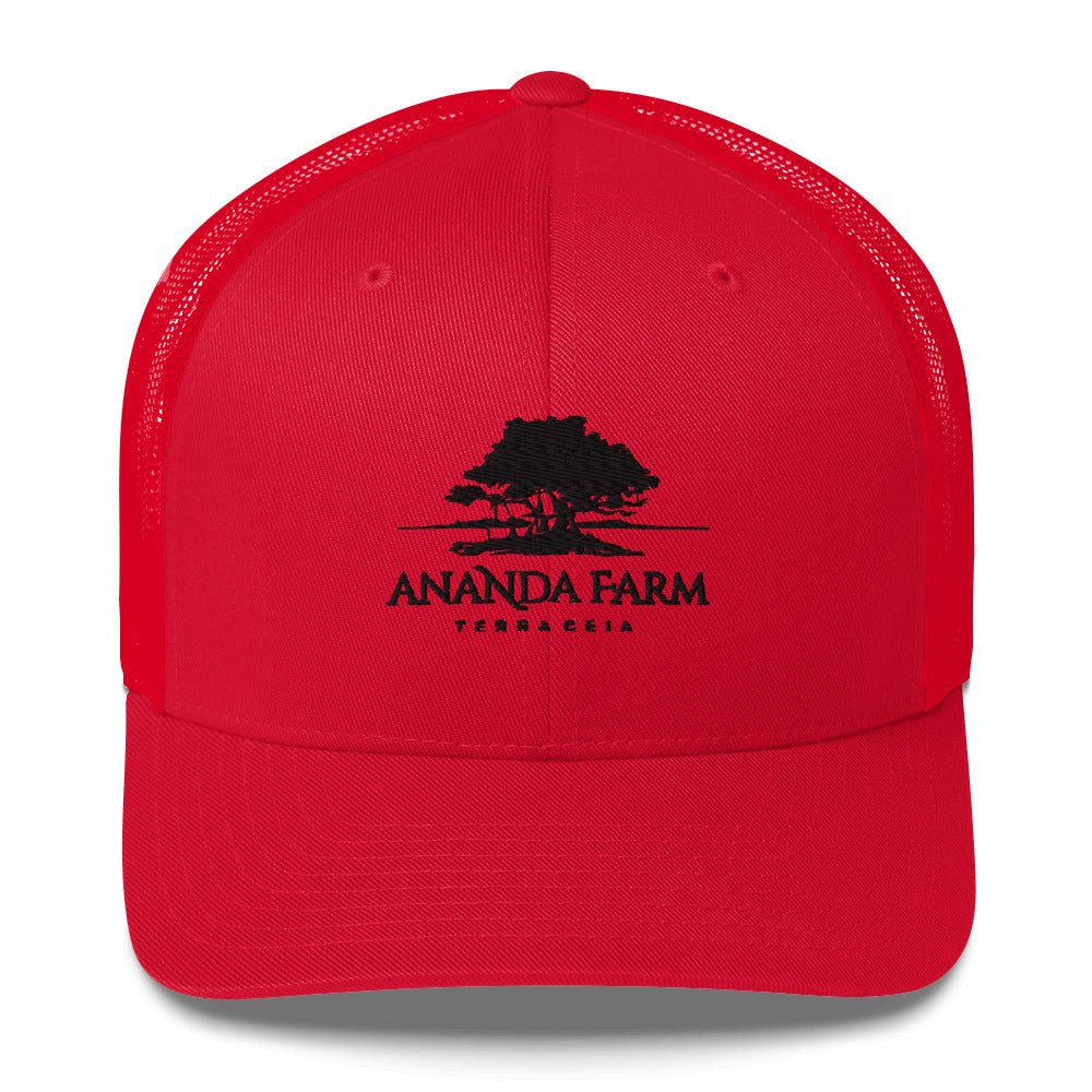 Ananda Black Logo Hat (9 Colors)