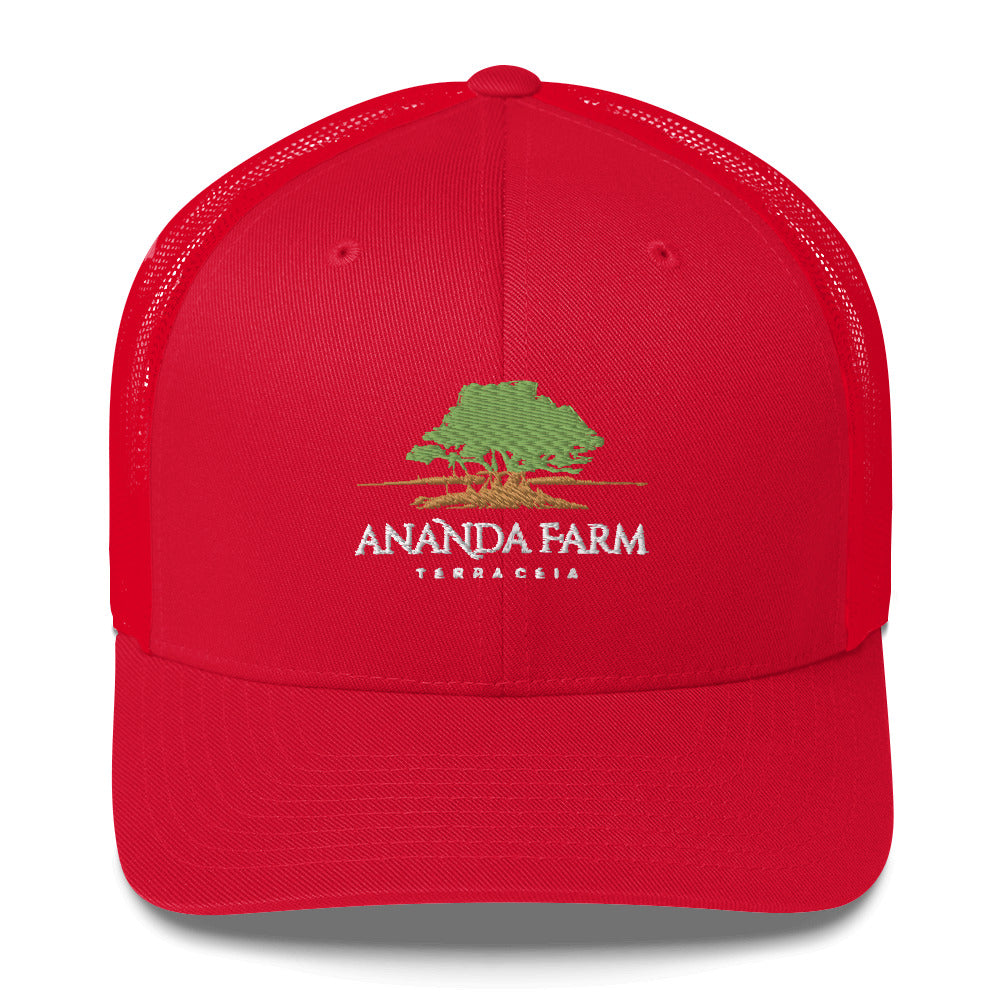 Ananda Green Logo Hat (13 Colors)