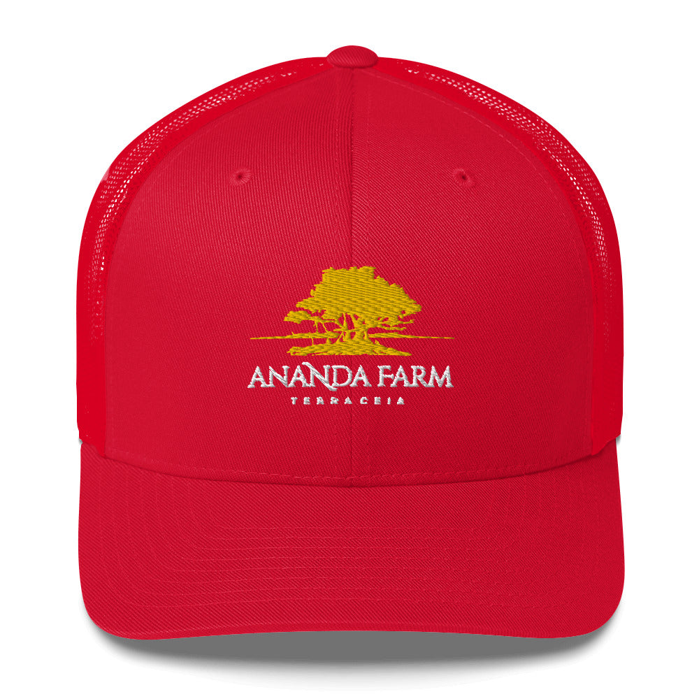 Ananda Yellow Logo Hat (13 Colors)