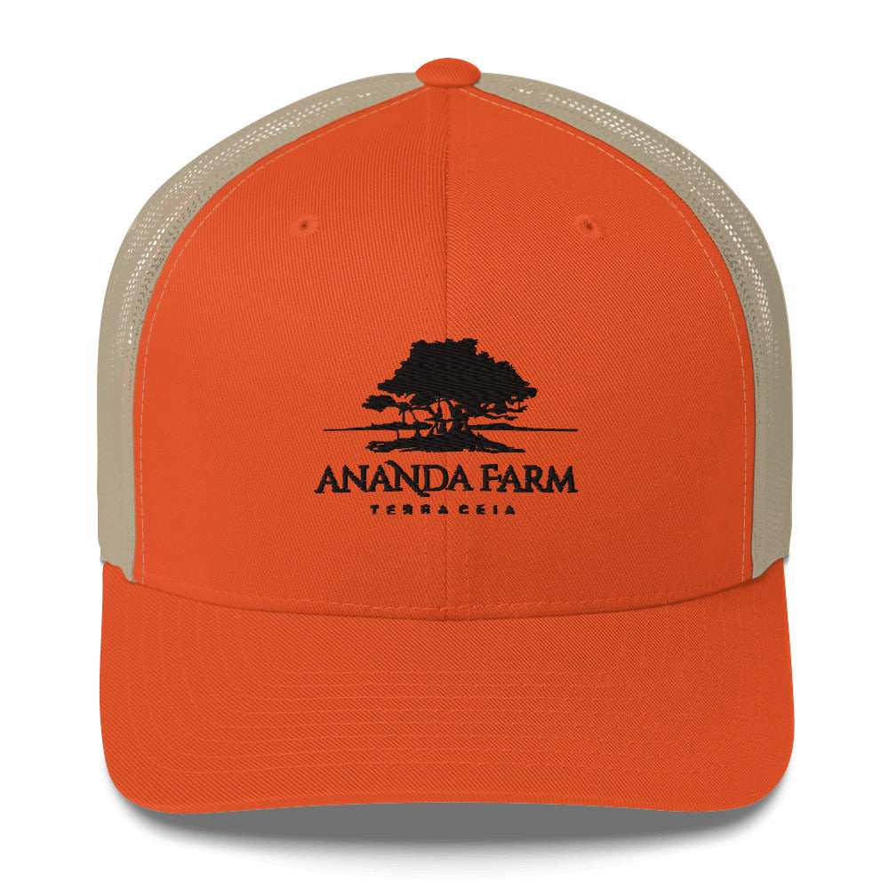 Ananda Black Logo Hat (9 Colors)