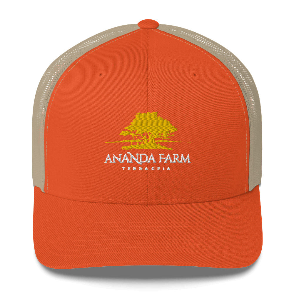 Ananda Yellow Logo Hat (13 Colors)