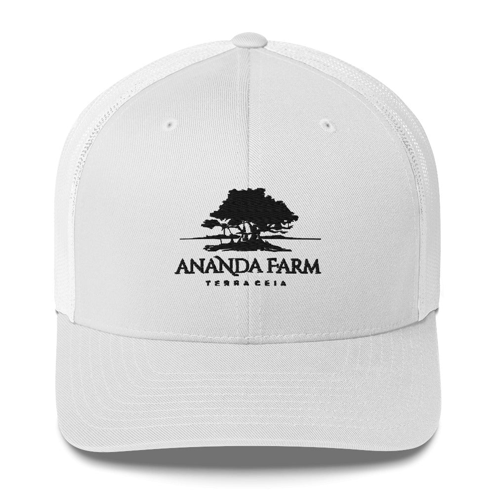 Ananda Black Logo Hat (9 Colors)