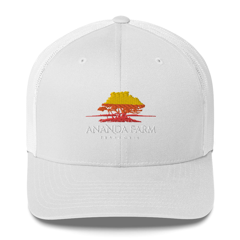 Ananda Multi Color Logo Hat (13 Colors)