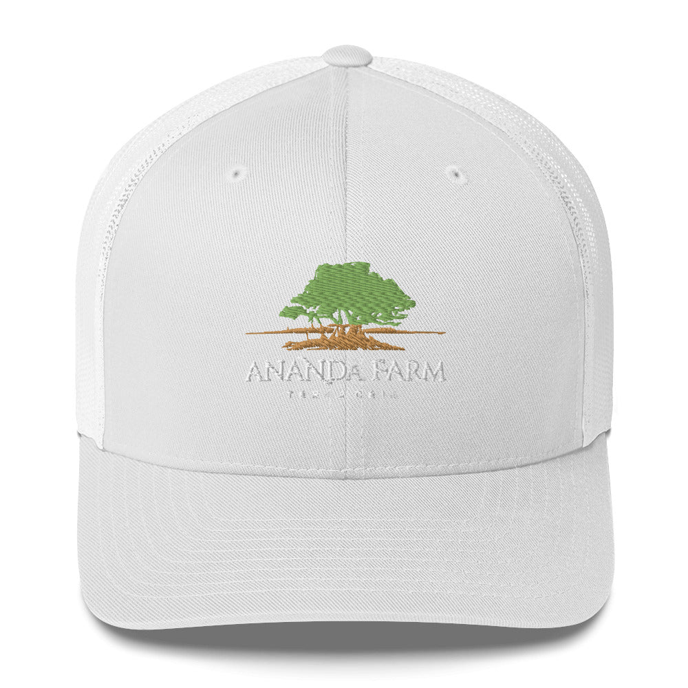 Ananda Green Logo Hat (13 Colors)