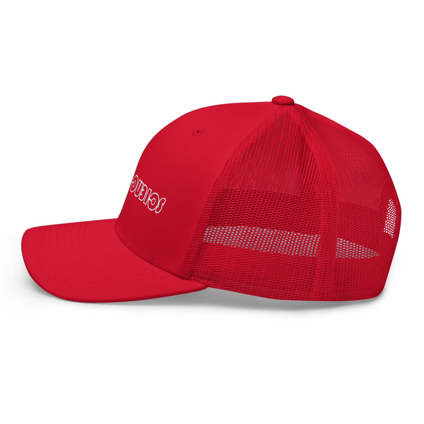 2020 = Upside Down Science Hat (8 Color Options)